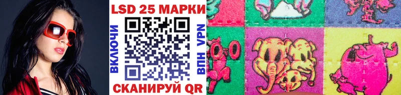 Купить где Пласт Марки N-bome 1500мкг